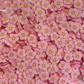 Pink Daisies - 50g Clay Slices